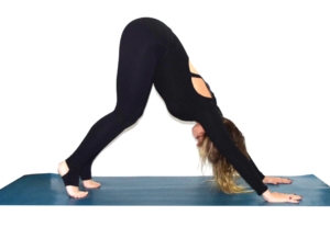 Bent Knee Downward Facing Dog