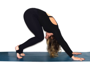 Head to Knee Downward Facing Dog