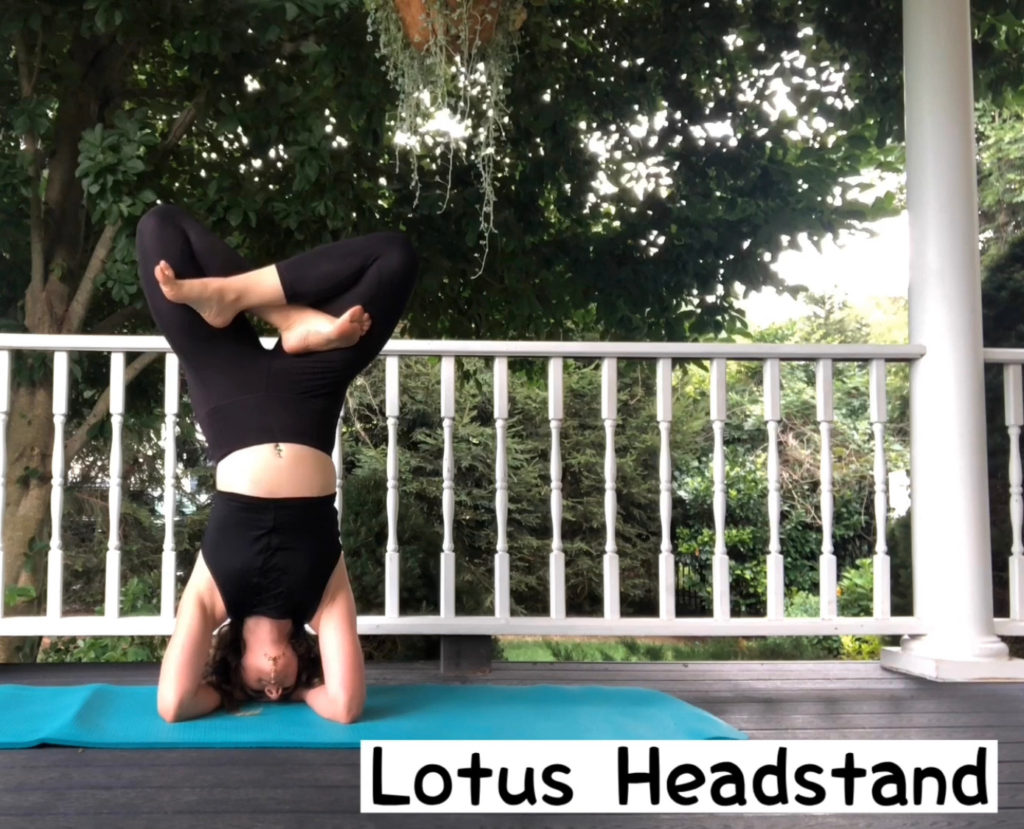 Urdhwa Padmasana (Lotus Headstand Pose) - Himalayan Yoga Association (Yoga  Ashram)
